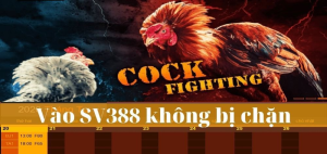 Những Lưu Ý Khi Đăng Nhập SV388